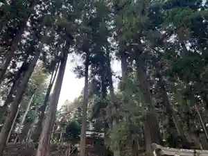 大宮温泉神社(栃木県)(2022年12月17日(土) 08時44分47秒投稿)