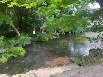 富士山本宮浅間大社(静岡県)