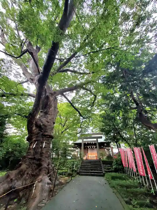 愛宕神社(福島県)