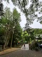 安房神社(千葉県)