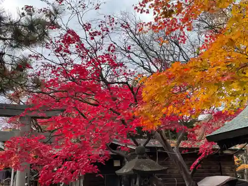 彌彦神社　(伊夜日子神社)の自然
