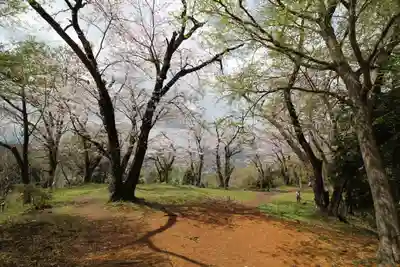 浅間神社(神奈川県)