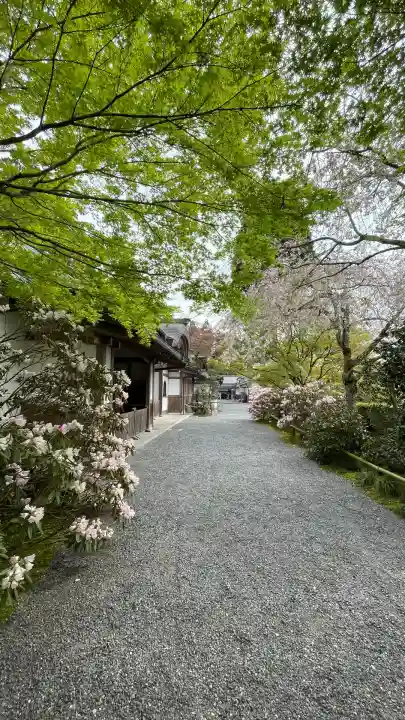 三千院門跡(京都府)