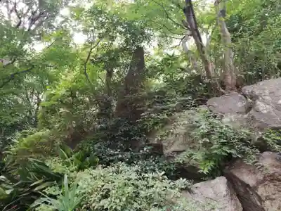 笠間稲荷神社の庭園