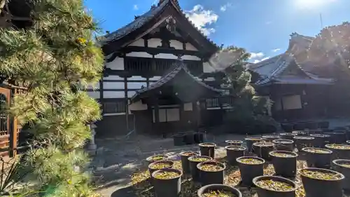 行願寺（革堂）(京都府)
