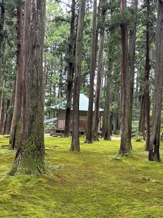 平泉寺白山神社(福井県)