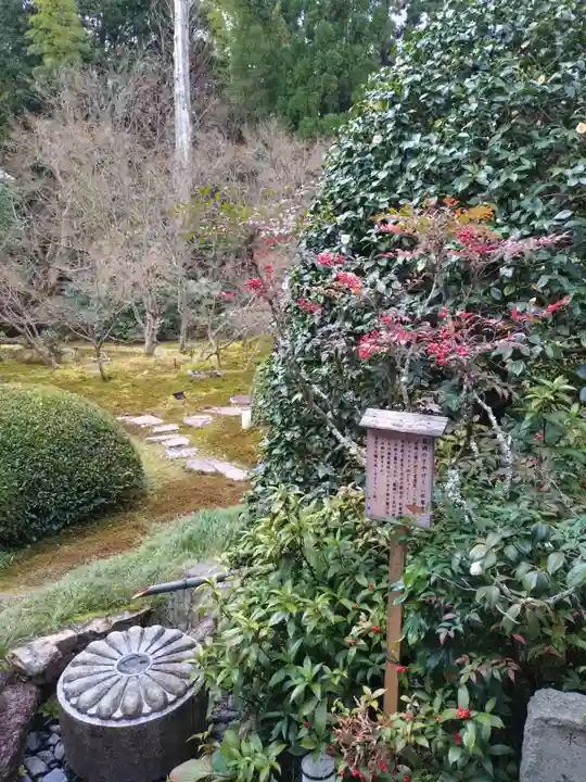 雲龍院(京都府)