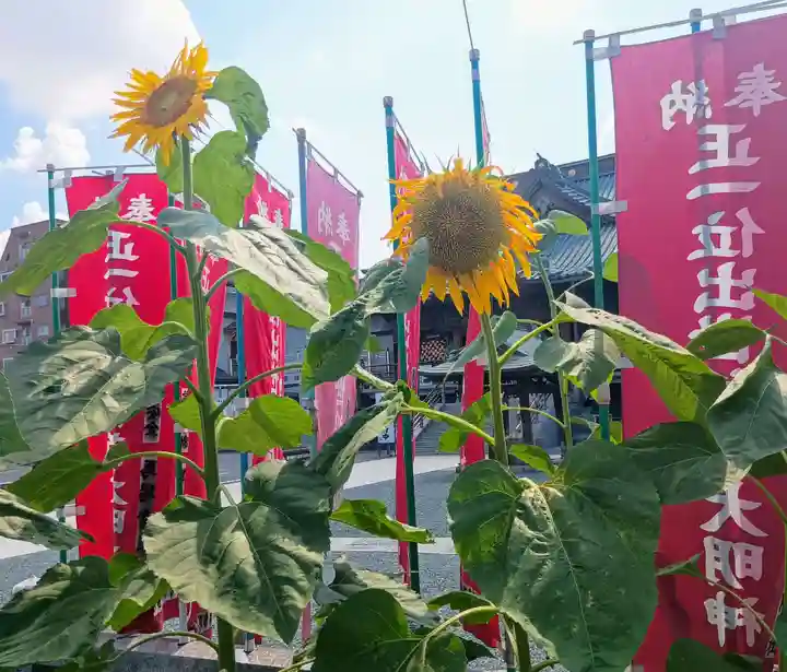 成田山川越別院(埼玉県)