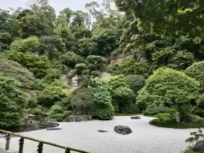 報国寺の{uncategorized: "未分類", other: "その他", undefined: "問題あり", building: "その他建物", grave: "お墓", sacred_gate: "鳥居", guardian: "狛犬", statue: "像", buddha: "仏像", history: "歴史", nature: "自然", garden: "庭園", animal: "動物", pagoda: "塔", temizu: "手水舎", mountain_gate: "山門・神門", sanctuary: "本殿・本堂", subordinate: "末社・摂社", art: "芸術", scenery: "景色", jizo: "地蔵", ema: "絵馬", goshuin: "御朱印", omikuji: "おみくじ", items: "授与品その他", amulet: "お守り", goshuincho: "御朱印帳", eats: "食事", festival: "お祭り", votive_dance: "神楽", shichigosan: "七五三参", wedding: "結婚式", experience: "体験その他", initially: "初詣", around: "周辺", anti_infection: "感染症対策"}