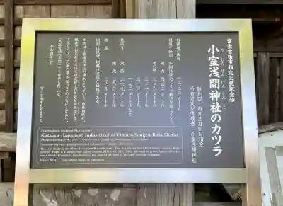 小室浅間神社(山梨県)
