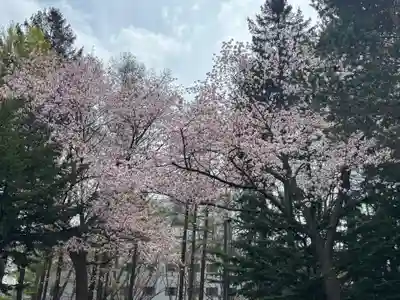 大谷地神社(北海道)