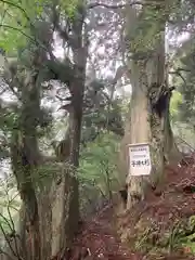 奈良原神社(愛媛県)