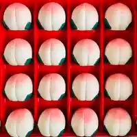 土津神社|こどもと出世の神さまのおみくじ