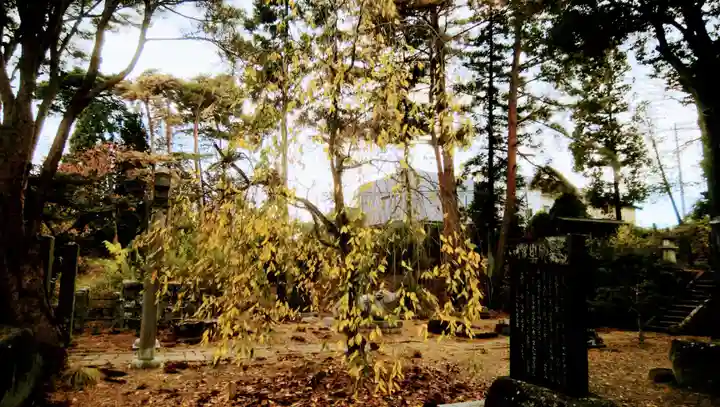 豊景神社の自然