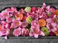 北広島市総鎮守 廣島神社(北海道)