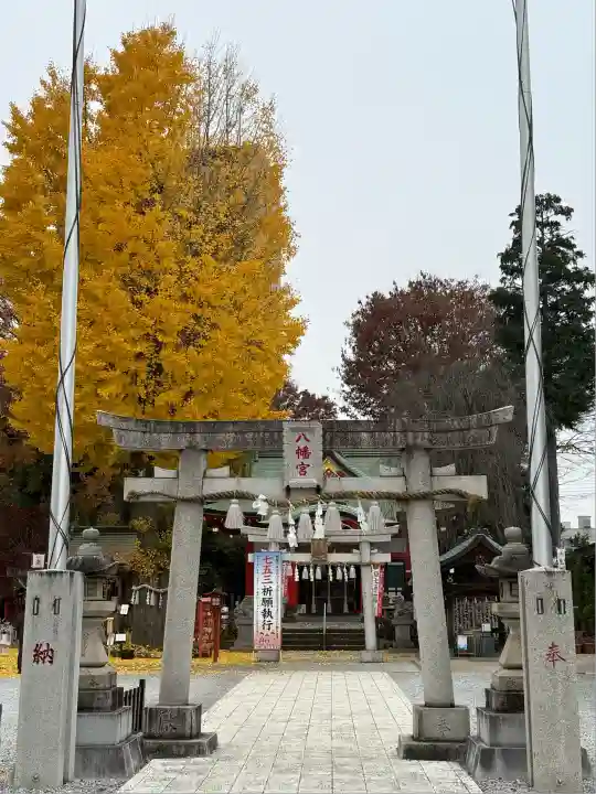 川越八幡宮(埼玉県)