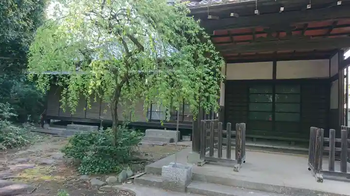 熊野神社(東京都)