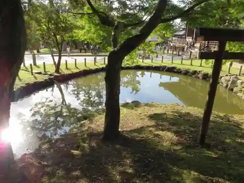 東大寺の庭園