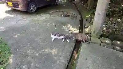 玉野御嶽神社(愛知県)