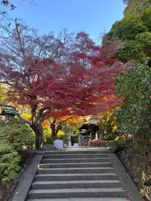 鎌倉宮(神奈川県)