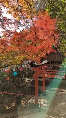 柳谷観音　楊谷寺(京都府)