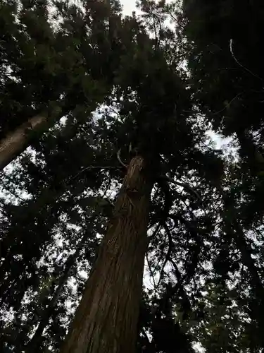 大宮温泉神社の自然