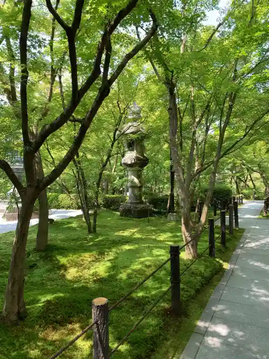 禅林寺(永観堂)の庭園