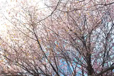 潮見ヶ岡神社(北海道)