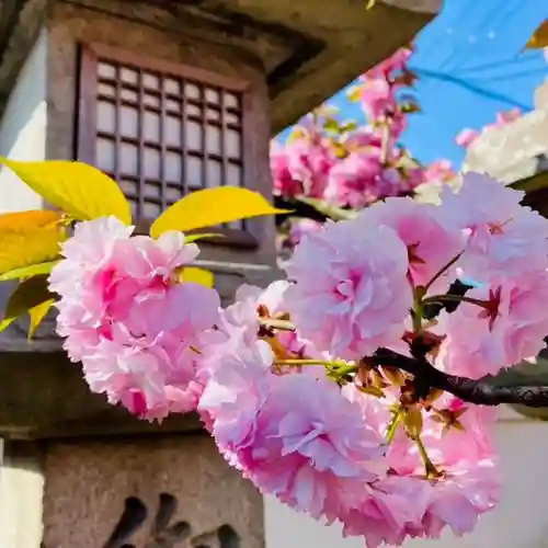 御霊神社の自然