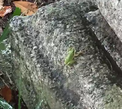 竹神社(三重県)