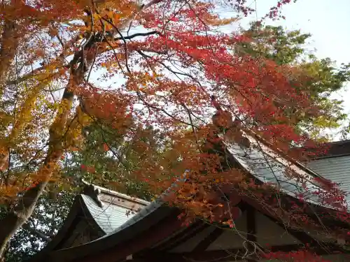 氣比神宮の建物その他