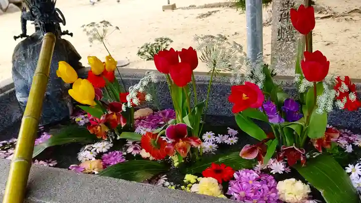 三津厳島神社の手水舎