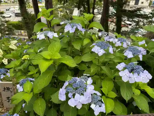 狭山山不動寺(埼玉県)