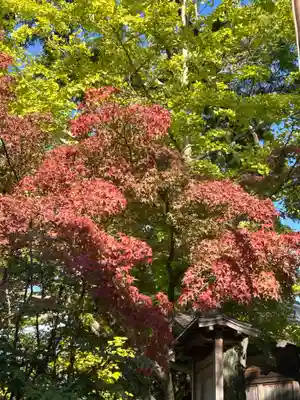 九頭大明神(大阪府)