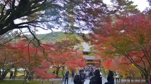 南禅寺の自然