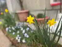 秩父札所十三番 慈眼寺の自然