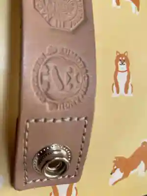 雲八幡宮(大分県)