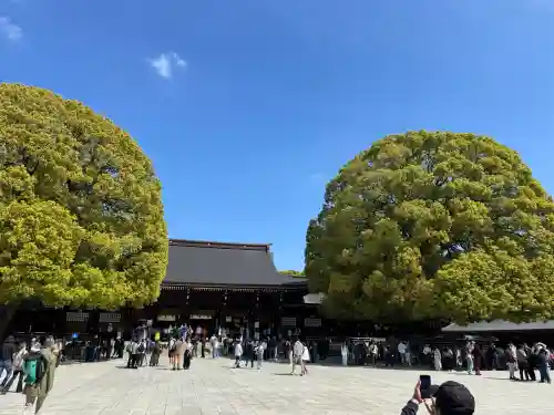 明治神宮の{uncategorized: "未分類", other: "その他", undefined: "問題あり", building: "その他建物", grave: "お墓", sacred_gate: "鳥居", guardian: "狛犬", statue: "像", buddha: "仏像", history: "歴史", nature: "自然", garden: "庭園", animal: "動物", pagoda: "塔", temizu: "手水舎", mountain_gate: "山門・神門", sanctuary: "本殿・本堂", subordinate: "末社・摂社", art: "芸術", scenery: "景色", jizo: "地蔵", ema: "絵馬", goshuin: "御朱印", omikuji: "おみくじ", items: "授与品その他", amulet: "お守り", goshuincho: "御朱印帳", eats: "食事", festival: "お祭り", votive_dance: "神楽", shichigosan: "七五三参", wedding: "結婚式", experience: "体験その他", initially: "初詣", around: "周辺", anti_infection: "感染症対策"}
