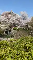 六孫王神社(京都府)