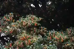 鹿島大神宮の庭園