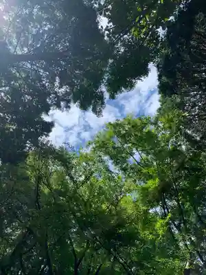 能勢妙見山（真如寺境外仏堂）の自然