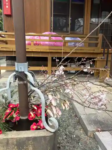 源空院（浅井寺）の{uncategorized: "未分類", other: "その他", undefined: "問題あり", building: "その他建物", grave: "お墓", sacred_gate: "鳥居", guardian: "狛犬", statue: "像", buddha: "仏像", history: "歴史", nature: "自然", garden: "庭園", animal: "動物", pagoda: "塔", temizu: "手水舎", mountain_gate: "山門・神門", sanctuary: "本殿・本堂", subordinate: "末社・摂社", art: "芸術", scenery: "景色", jizo: "地蔵", ema: "絵馬", goshuin: "御朱印", omikuji: "おみくじ", items: "授与品その他", amulet: "お守り", goshuincho: "御朱印帳", eats: "食事", festival: "お祭り", votive_dance: "神楽", shichigosan: "七五三参", wedding: "結婚式", experience: "体験その他", initially: "初詣", around: "周辺", anti_infection: "感染症対策"}