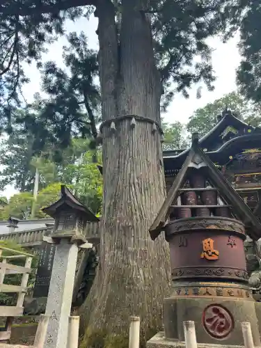 三峯神社(埼玉県)