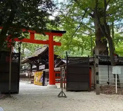 河合神社(鴨川合坐小社宅神社)の鳥居