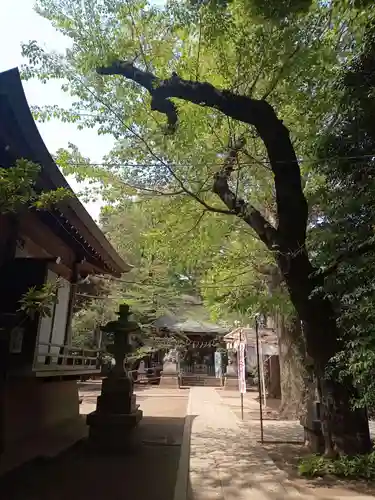神明氷川神社のその他建物