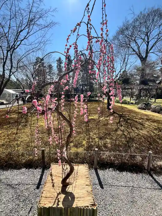 城南宮(京都府)