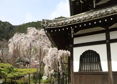 善峯寺(京都府)