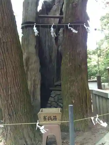 高倉神社(福岡県)