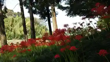 駒形神社(千葉県)