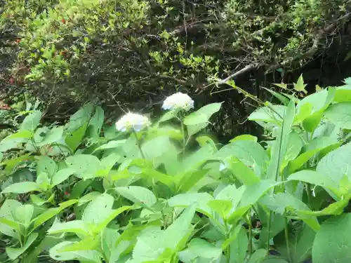 法雲寺(埼玉県)